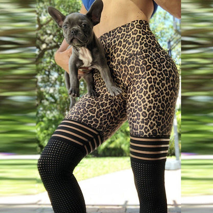 PGW Leo Leggings - PERFORMANCE GYM WEAR